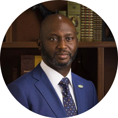 Dr Olasupo Olusi Managing Director:CEO Bank of Industry (BOI)